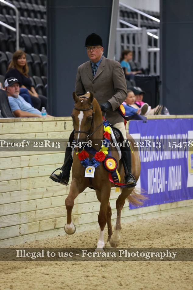 Proof 22R13_15478