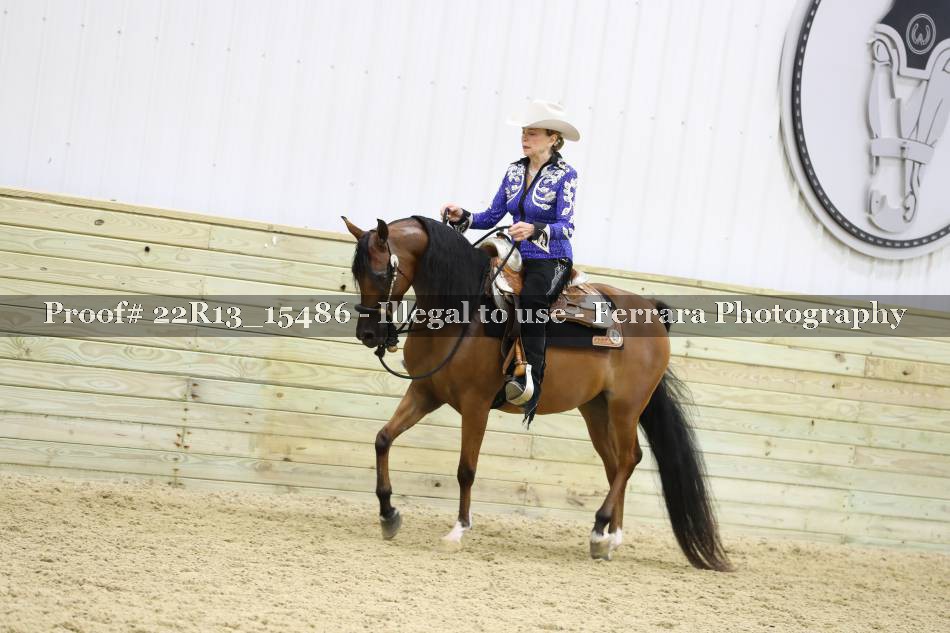 Proof 22R13_15486