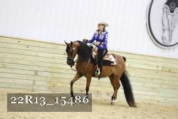22R13_15486 proof