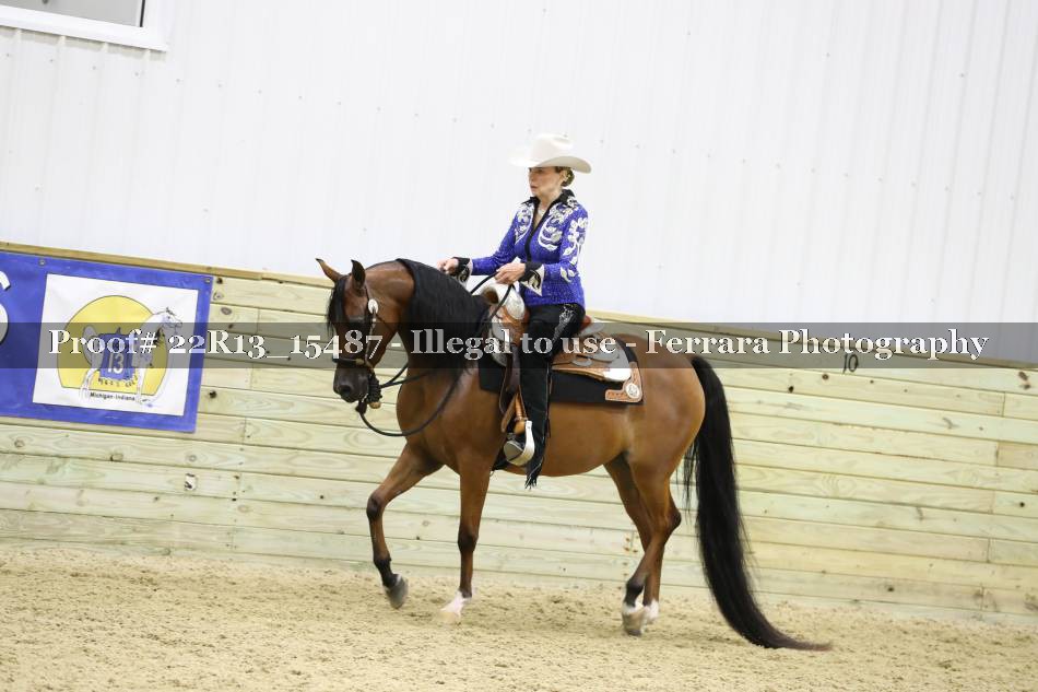 Proof 22R13_15487