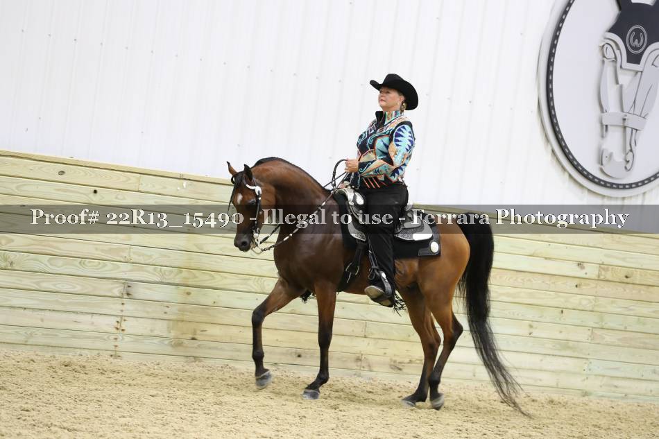 Proof 22R13_15490