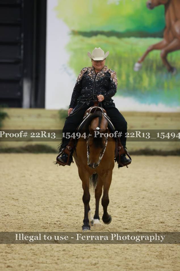 Proof 22R13_15494