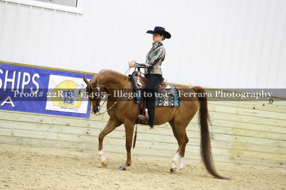 Proof 22R13_15495