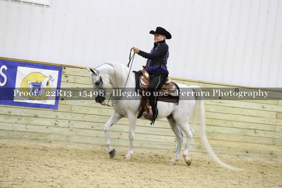 Proof 22R13_15498
