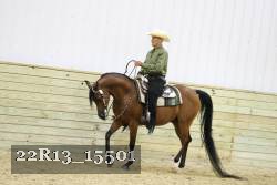 22R13_15501 proof