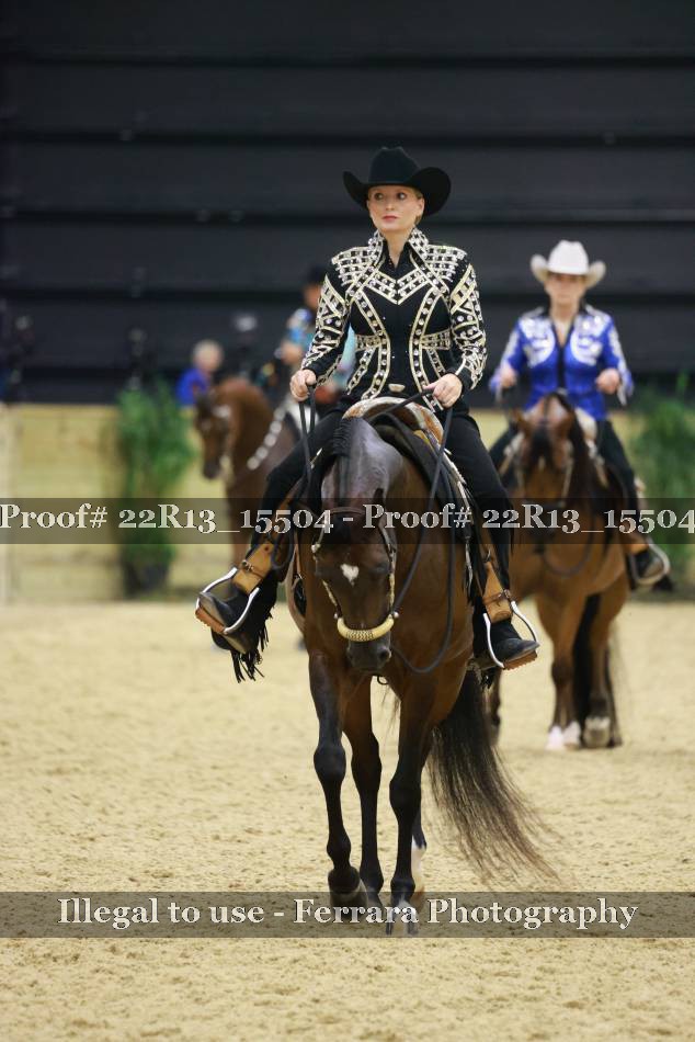 Proof 22R13_15504