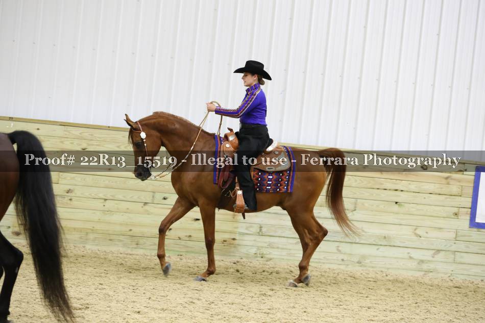 Proof 22R13_15519