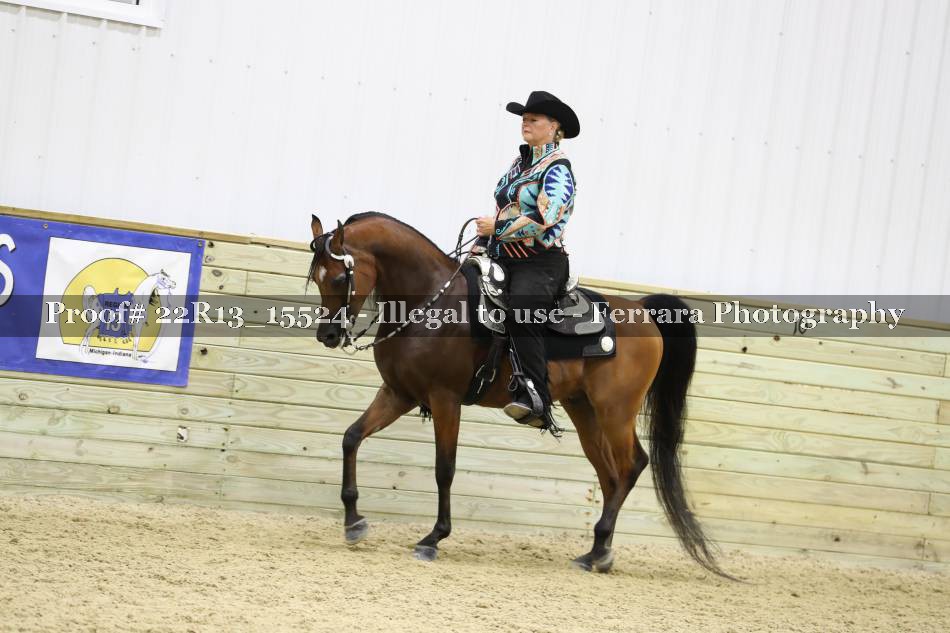 Proof 22R13_15524