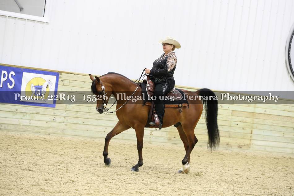 Proof 22R13_15526