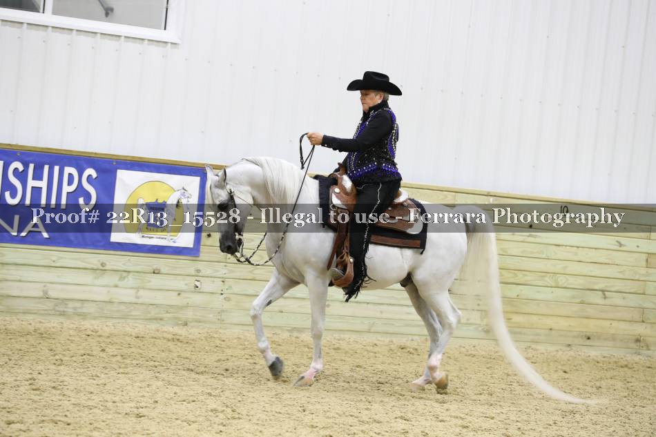 Proof 22R13_15528
