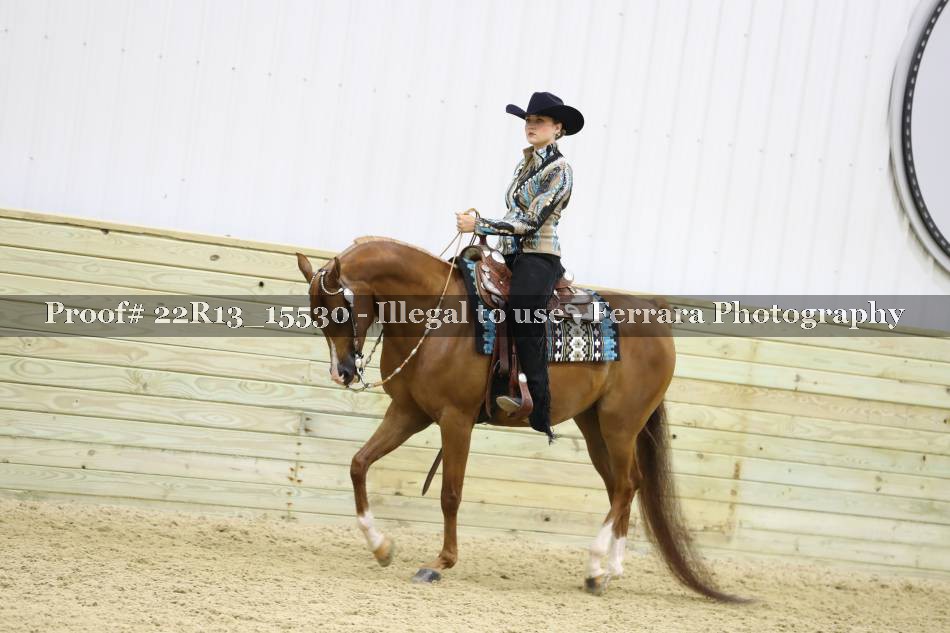 Proof 22R13_15530
