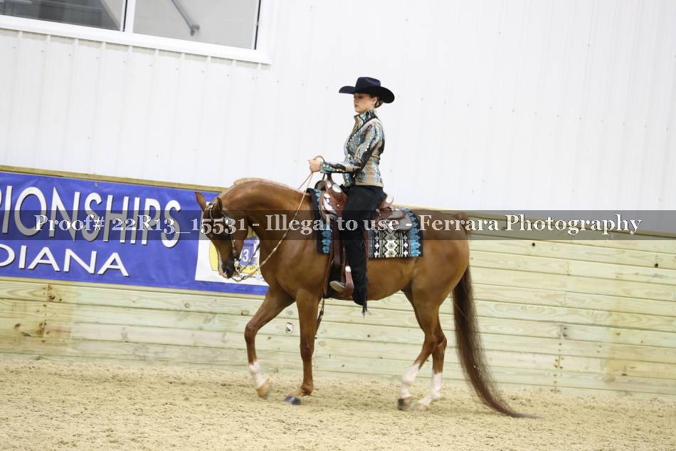 Proof 22R13_15531