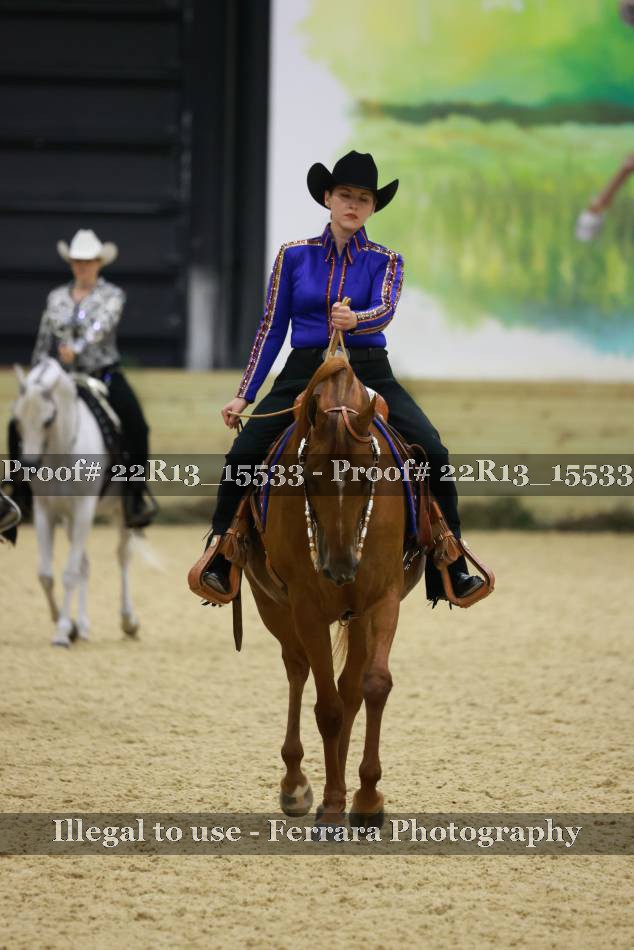 Proof 22R13_15533