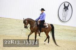 22R13_15534 proof