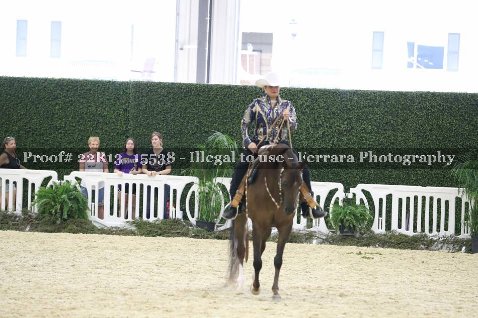 Proof 22R13_15538