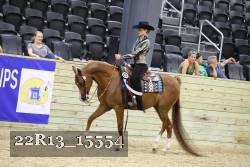 22R13_15554 proof