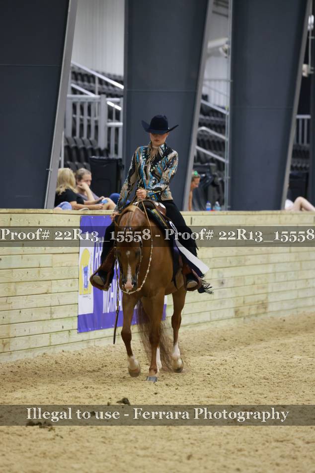 Proof 22R13_15558