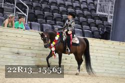22R13_15563 proof