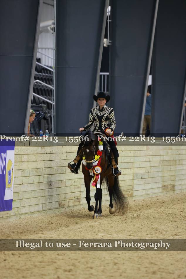 Proof 22R13_15566