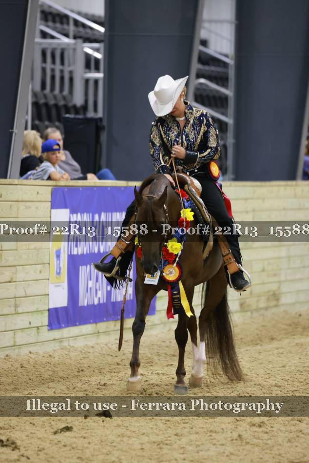 Proof 22R13_15588