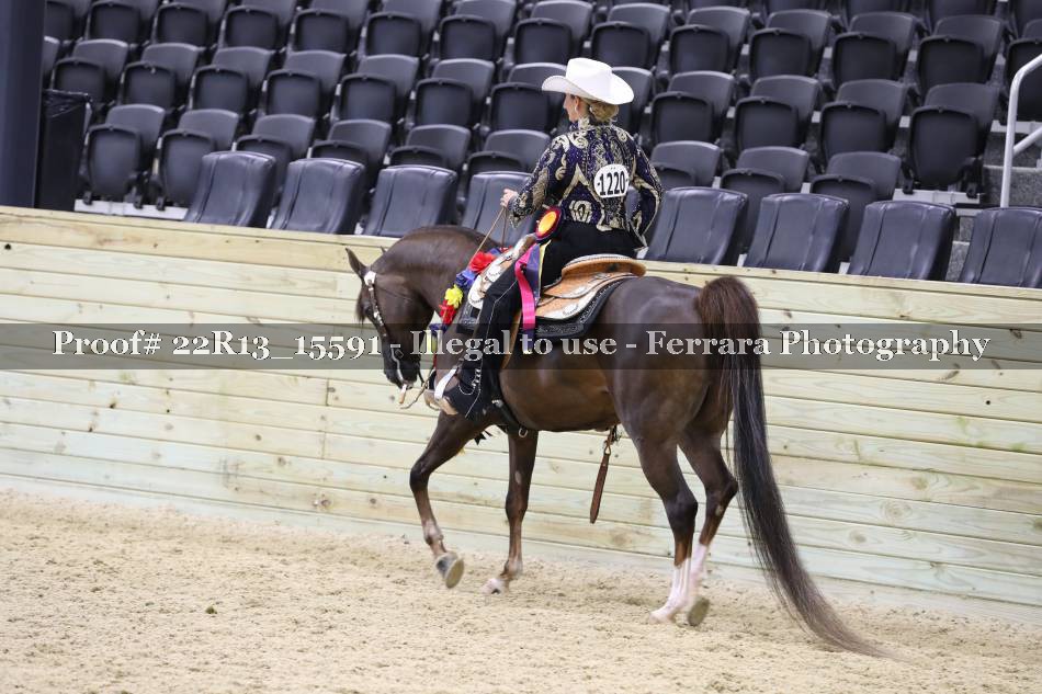 Proof 22R13_15591