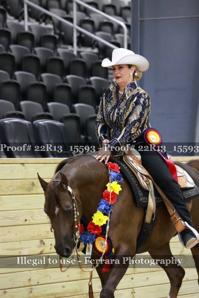 Proof 22R13_15593