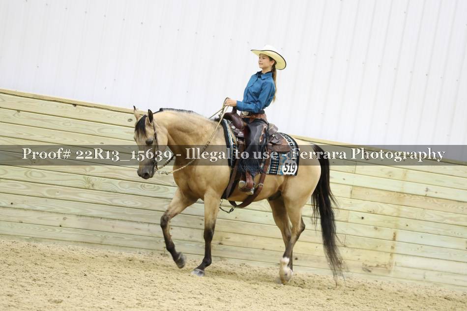 Proof 22R13_15639
