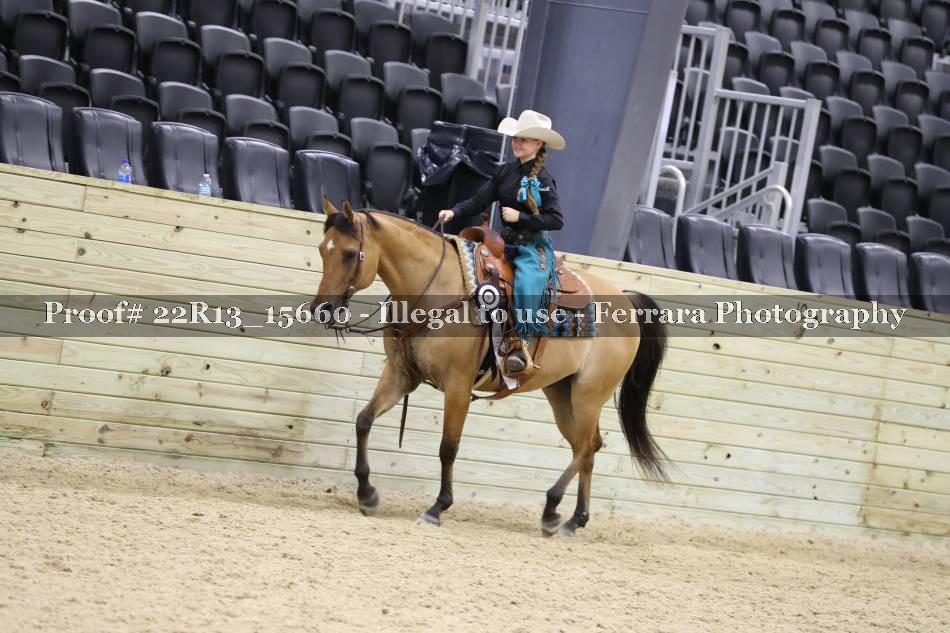 Proof 22R13_15660