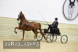 22R13_15685 proof