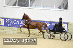 22R13_15687 proof
