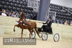22R13_15691 proof