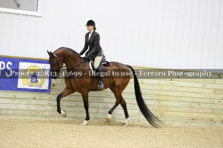 Proof 22R13_15699
