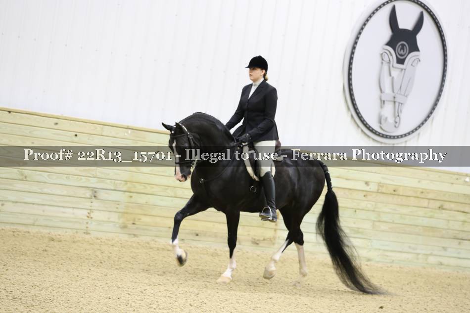 Proof 22R13_15701