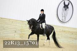 22R13_15701 proof