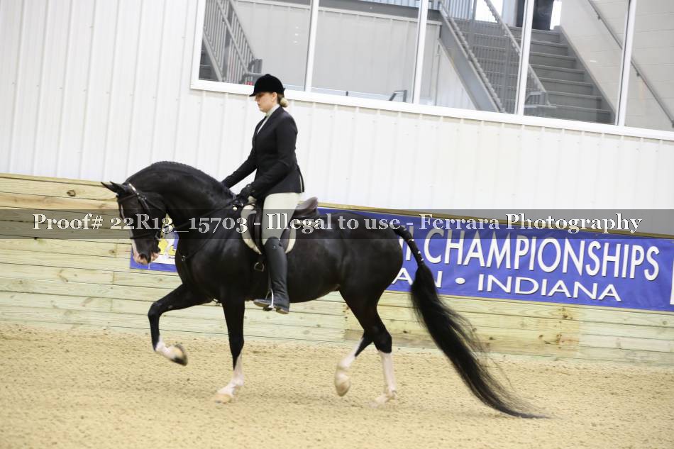 Proof 22R13_15703