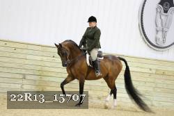 22R13_15707 proof