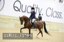 22R13_15709 proof