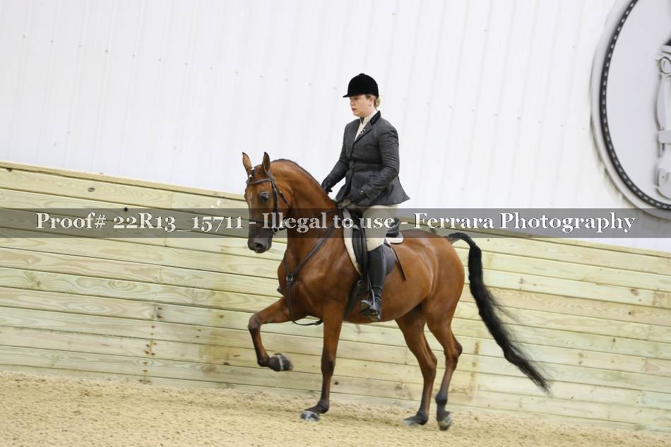 Proof 22R13_15711