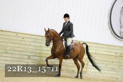 22R13_15711 proof