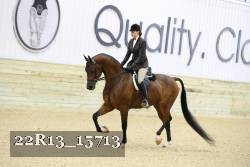 22R13_15713 proof