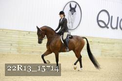 22R13_15714 proof