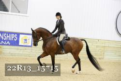 22R13_15715 proof