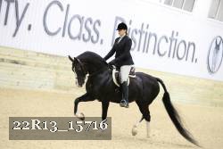 22R13_15716 proof