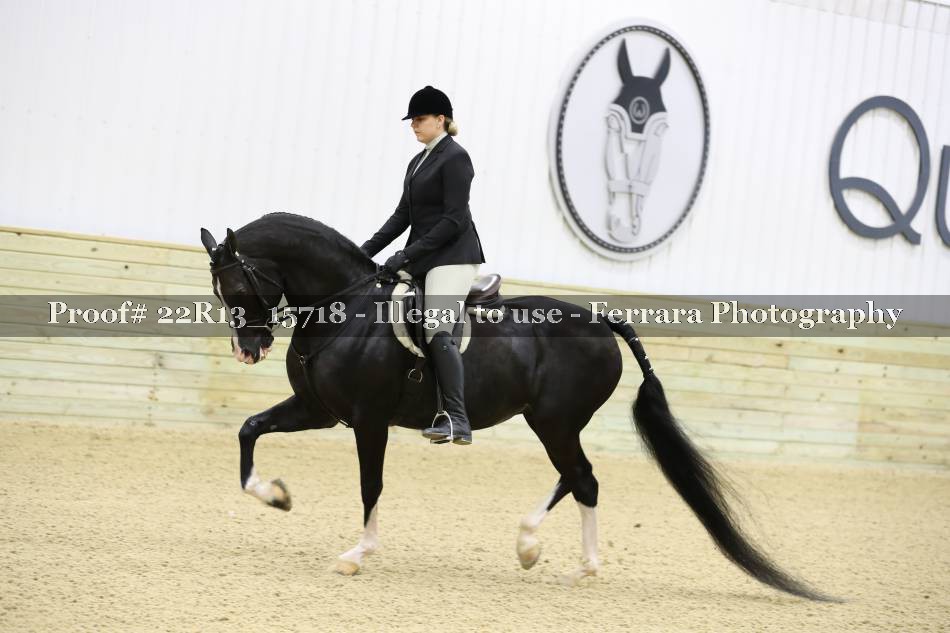 Proof 22R13_15718