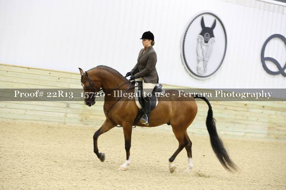 Proof 22R13_15720