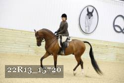 22R13_15720 proof