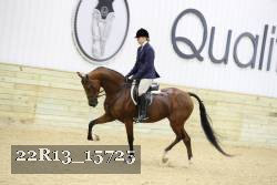 22R13_15725 proof