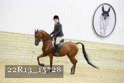 22R13_15728 proof