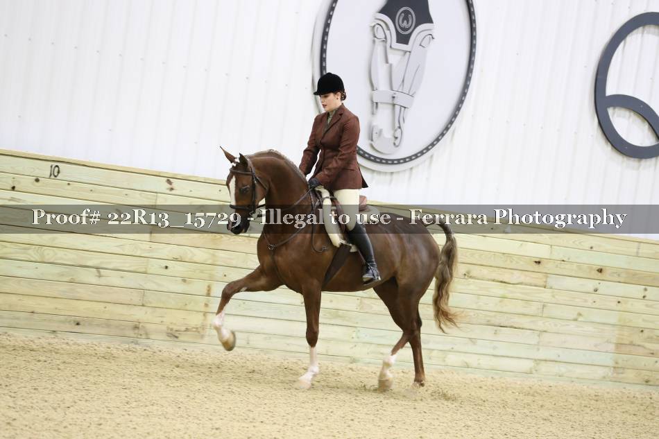 Proof 22R13_15729