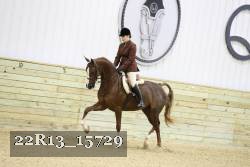 22R13_15729 proof